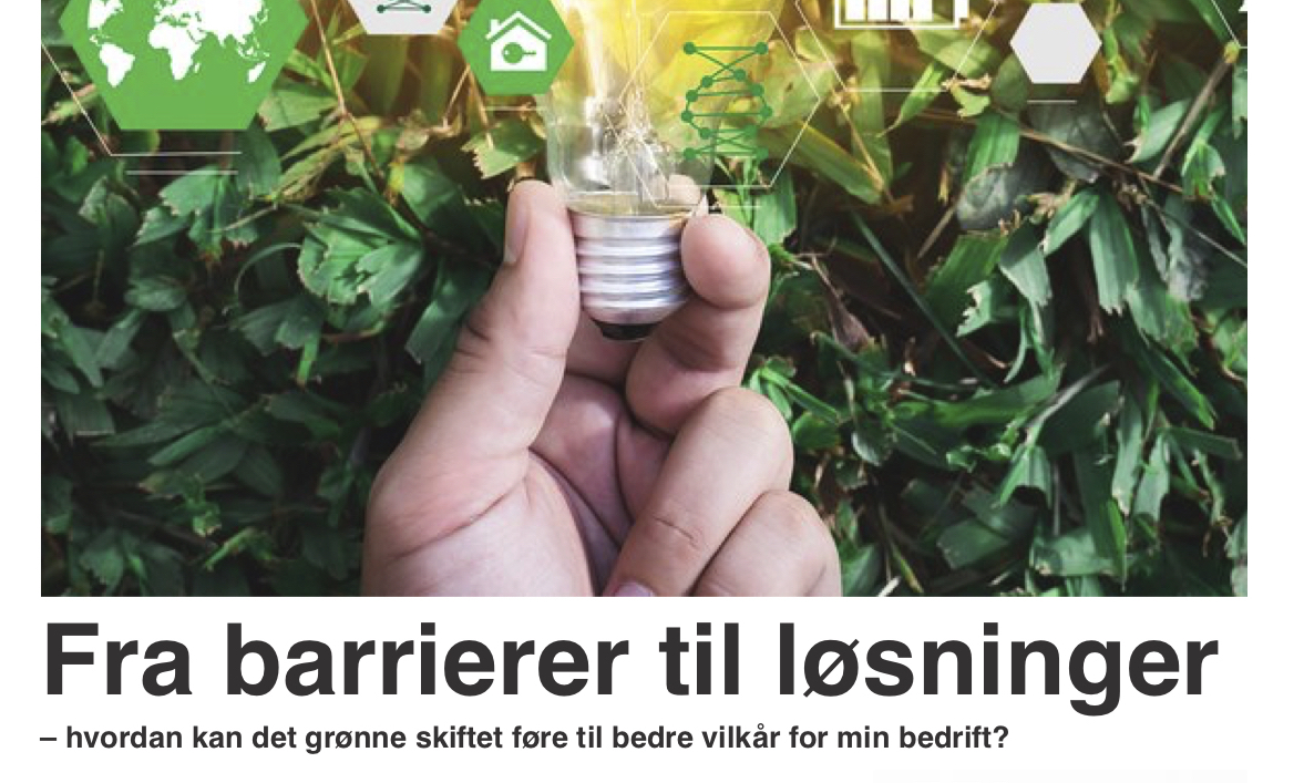 Fra barrierer til løsninger.